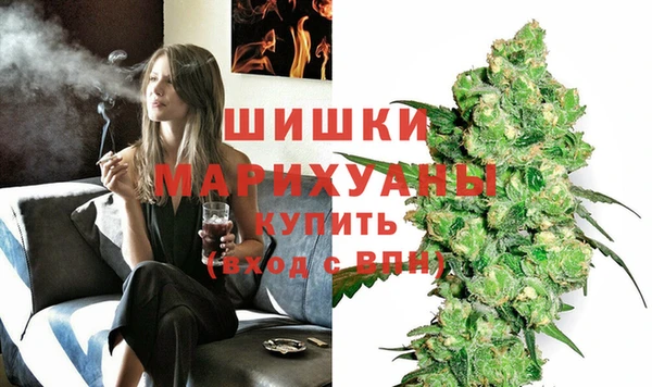 молекула духа Липки