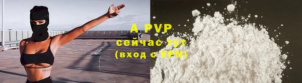 молекула духа Липки