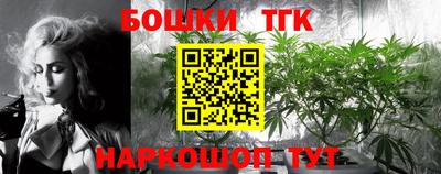 скорость Кингисепп