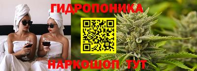 скорость Кингисепп