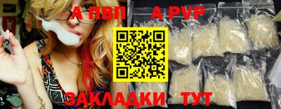 скорость Кингисепп