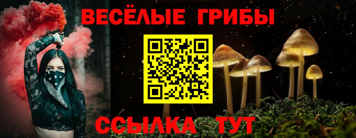 Псилоцибиновые грибы Magic Shrooms  Вход с VPN  Псилоцибиновые грибы мицелий  где найти наркотики  Михайловка 